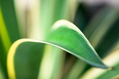 Curve Game发行新作《模型制作世界》公布首支中文预告片